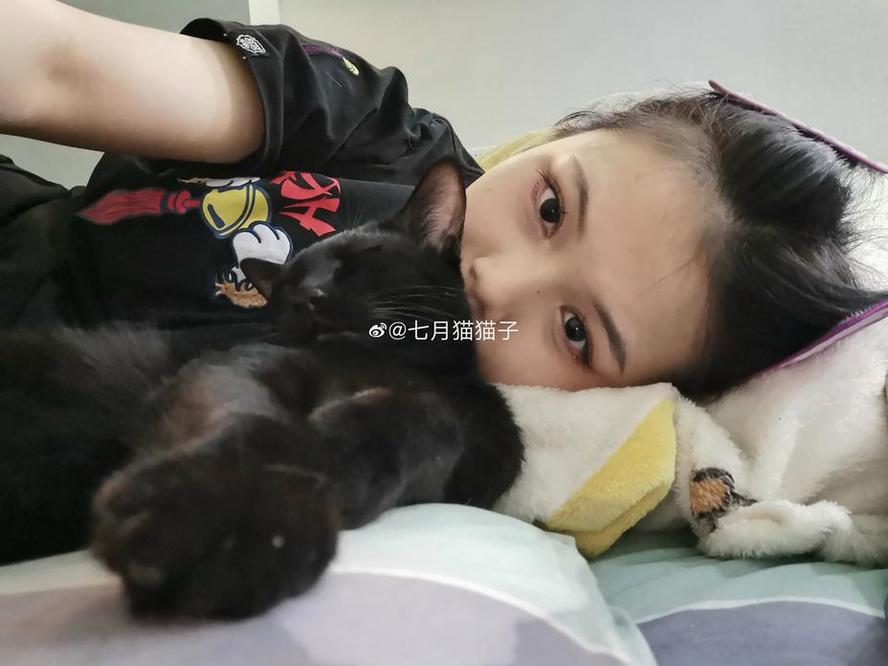 少女心必备，有七月喵子图集的app图片集火爆发售