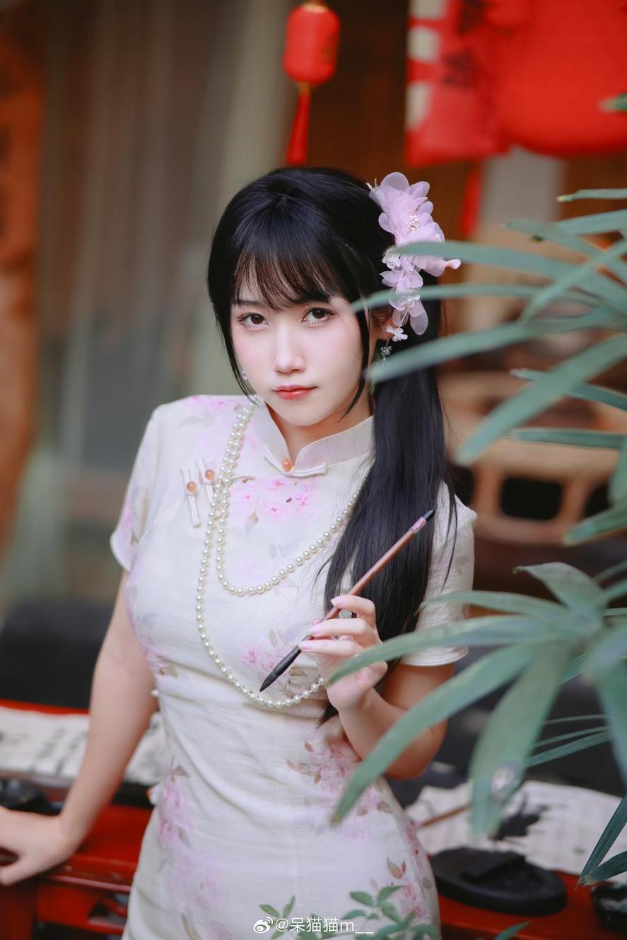 一秒沦陷！不呆猫图集中最好看的照片
