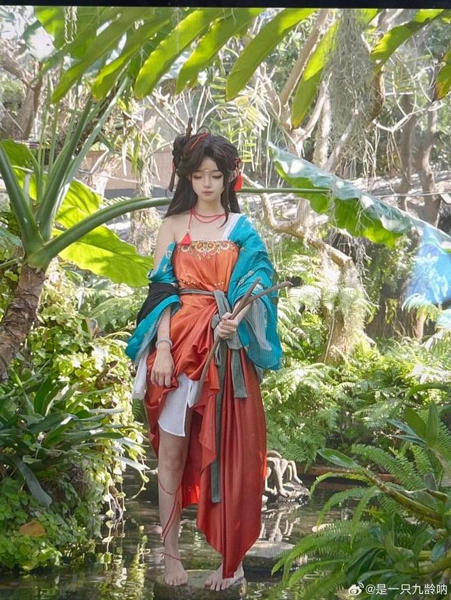 拍摄了一组以是一只九龄呐图片为主题的摄影作品。