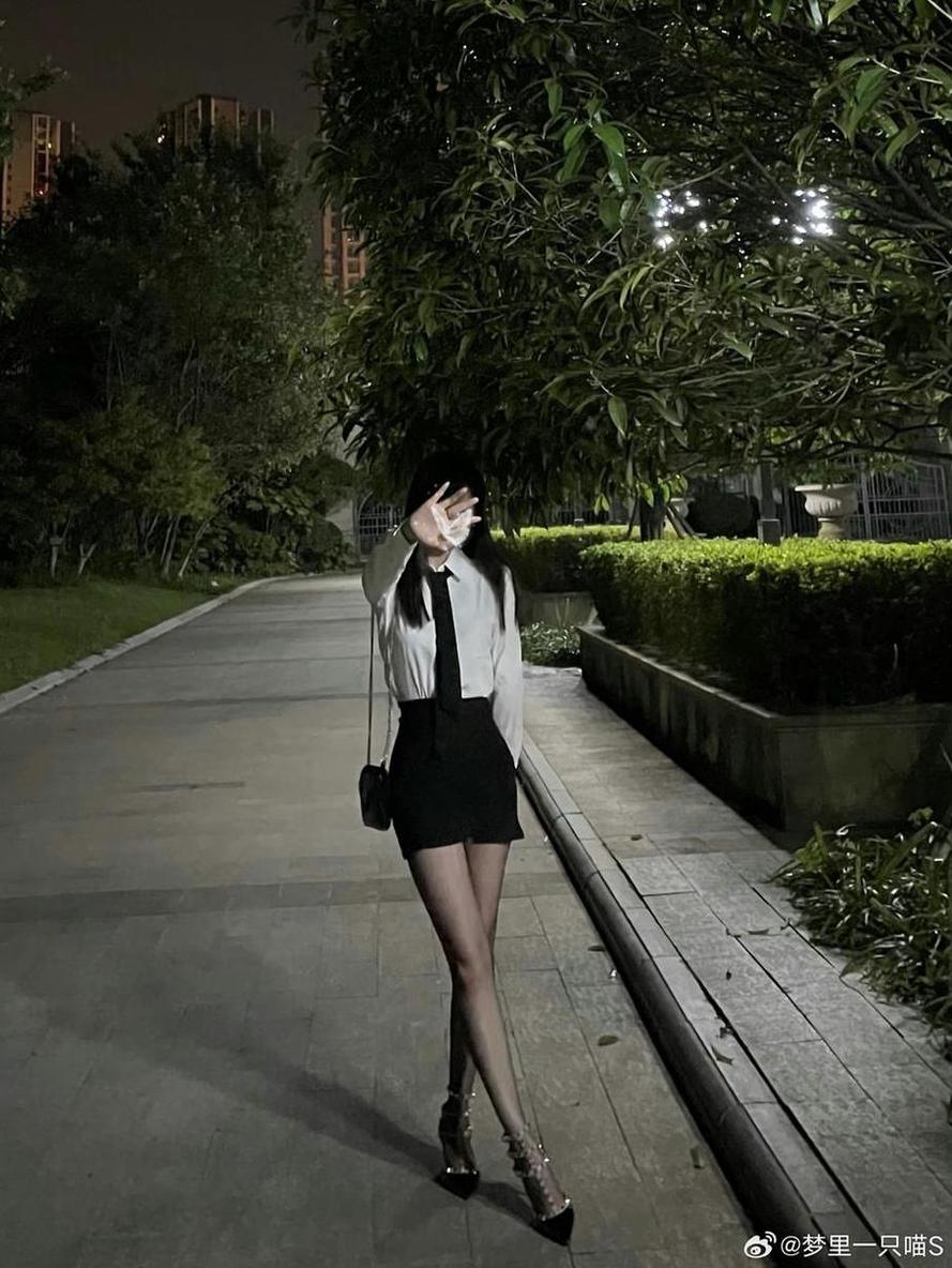 梦里一只喵朋友圈：经典摄影作品，猫咪的色彩世界